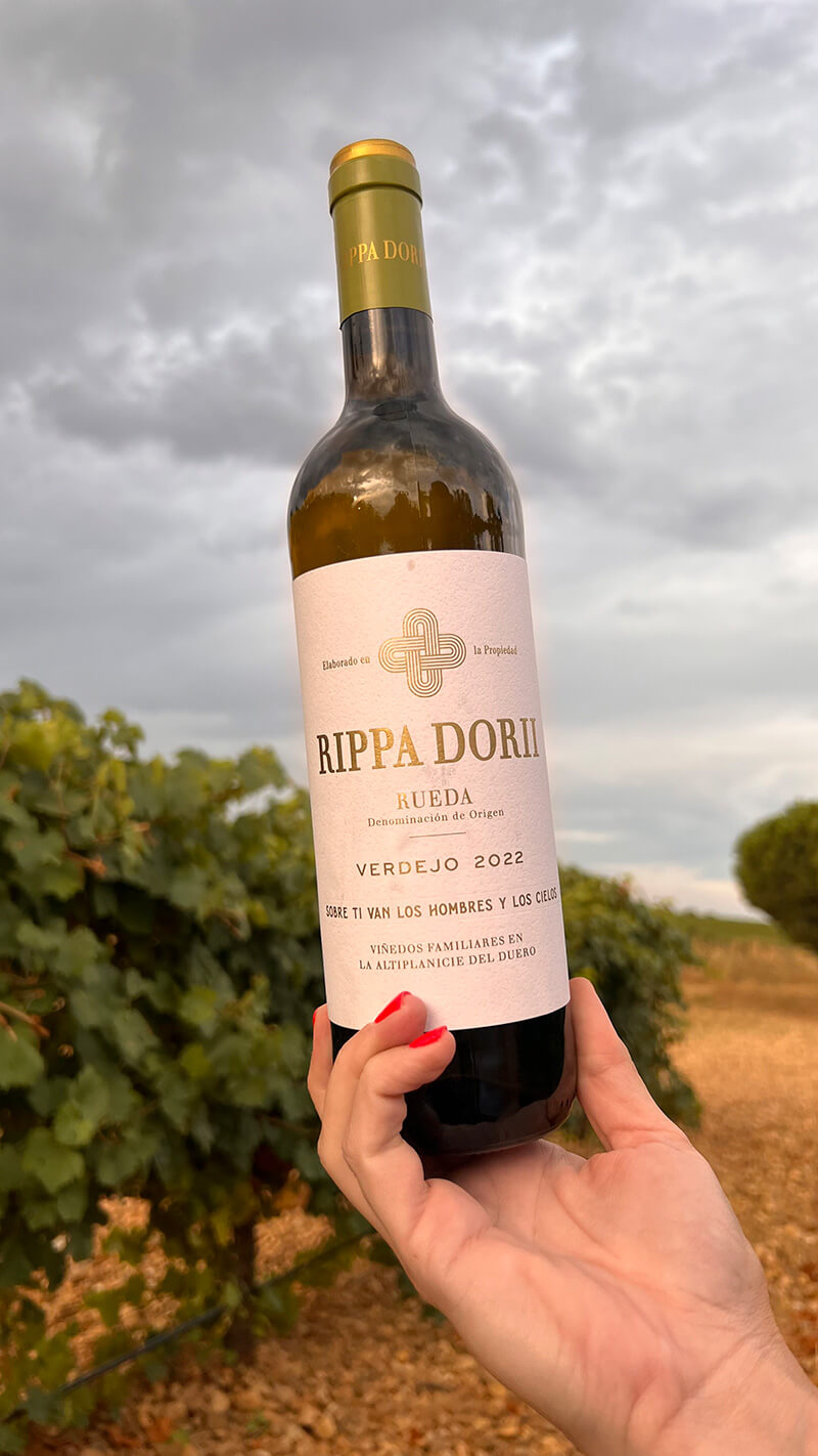 Rippa Dorii Verdejo. Expresión aromática